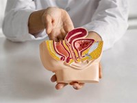 4 cosas que el urólogo observa en la primera consulta por disfunción eréctil y para qué sirve cada una